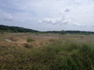 Shah Alam Prime Industrial land for Lease