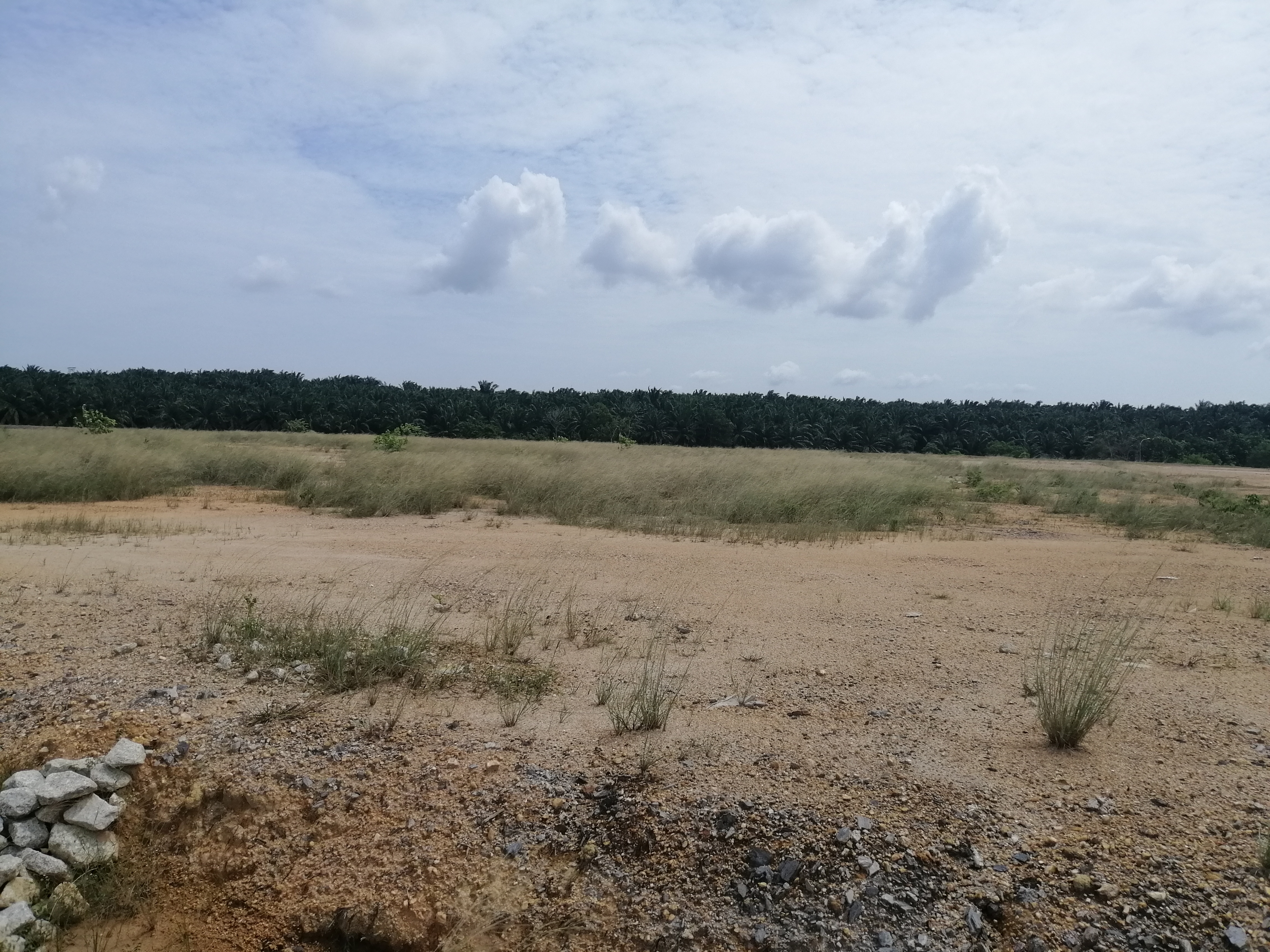 Banting Freehold Industrial Land with infrastructure and gas pipe