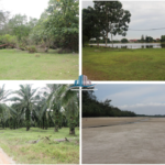 agriculture land for sale in sepang