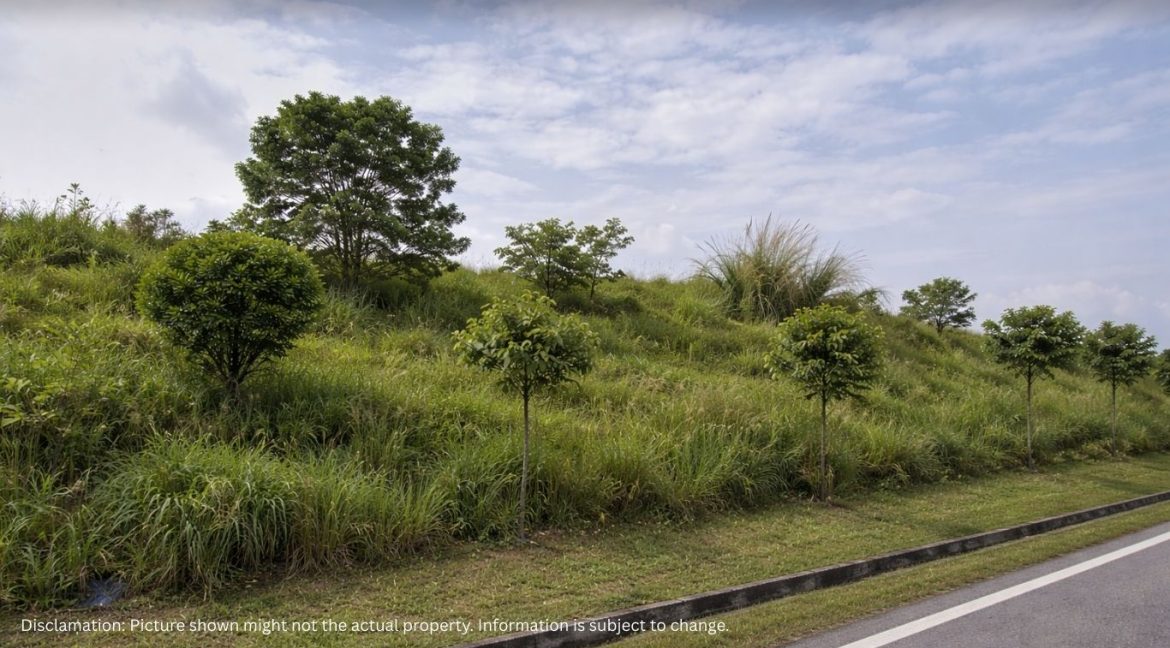 agriculture land for sale iskandar puteri