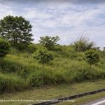 agriculture land for sale iskandar puteri