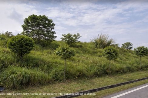 agriculture land for sale iskandar puteri