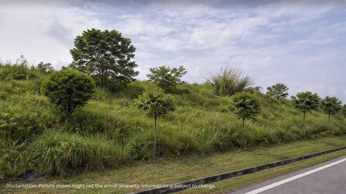 41.895 Acres Land For Sale Johor